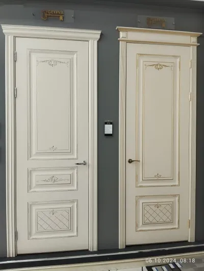 Дверь 220