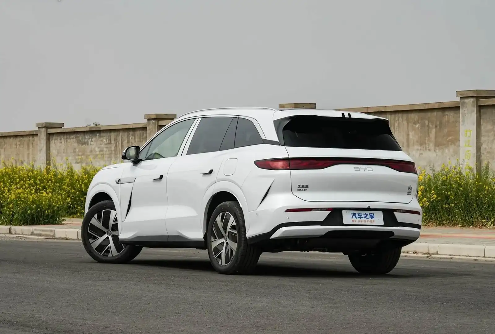 BYD Tang,