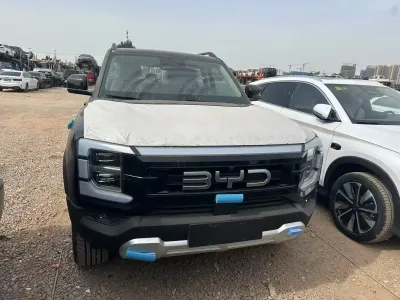 BYD BYD Другие модели, 2026 2026