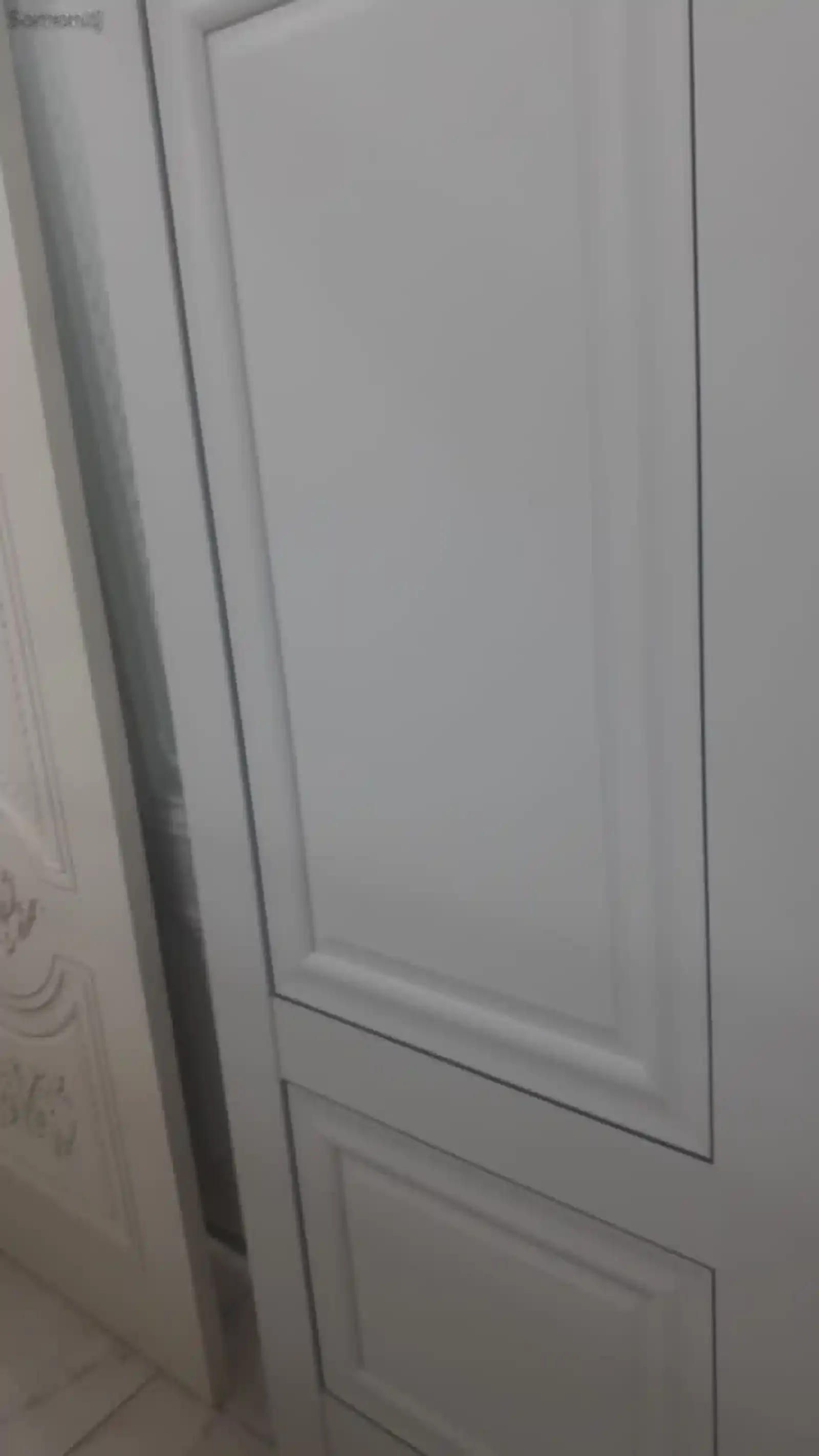 Дверь багет