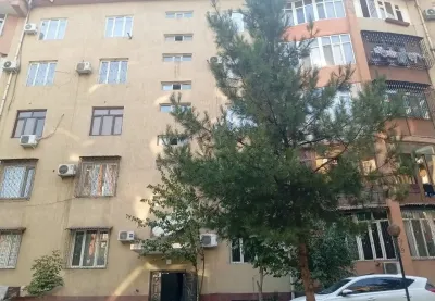 2-комн. квартира, 5 этаж, 82 м², шохмансур