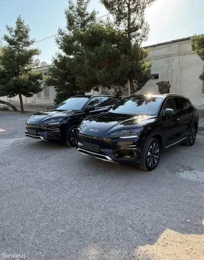BYD Song Plus, 2025