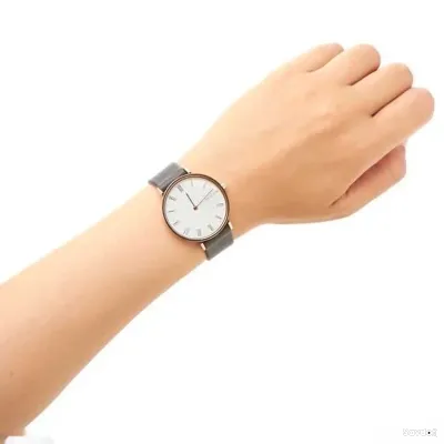 Часы Skagen SKW2674