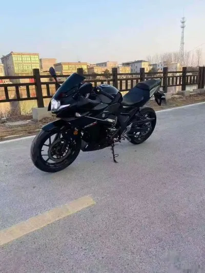 Мотоцикл Suzuki RGSX