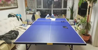 Теннис
