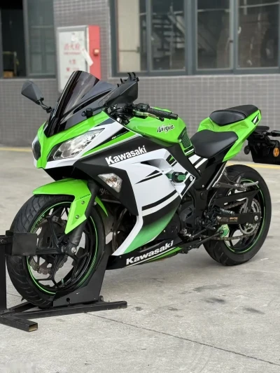 Kawasaki 250 — миниатюра 4