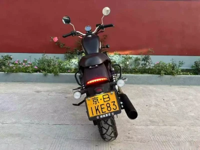 Мотоцикл Harley Davidson 250 — миниатюра 6
