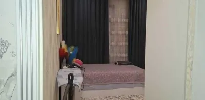 2-комн. квартира, 5 этаж, 50 м², Кольцевая, район Профсоюз