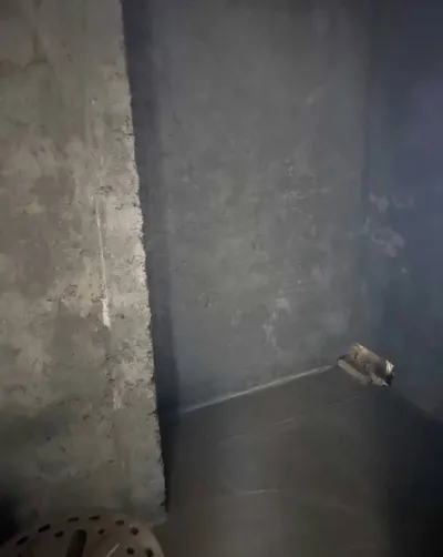 2-комн. квартира, 12 этаж, 63 м², Шохмансур