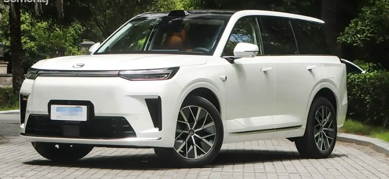 GAC Trumpchi GS8,