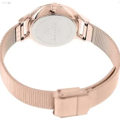 Часы Skagen SKW2151