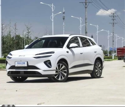 BYD Sea Lion 06 2025