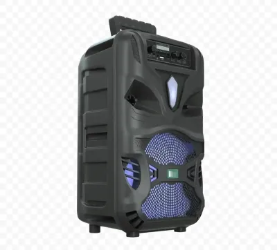 Беспроводная колонка Goodstorage NDR-P55