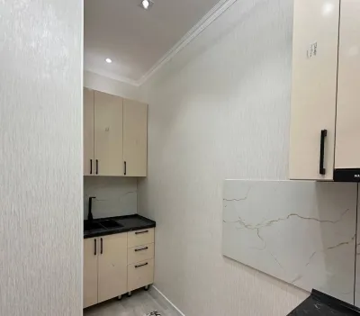 2-комн. квартира, 5 этаж, 63 м², Сино