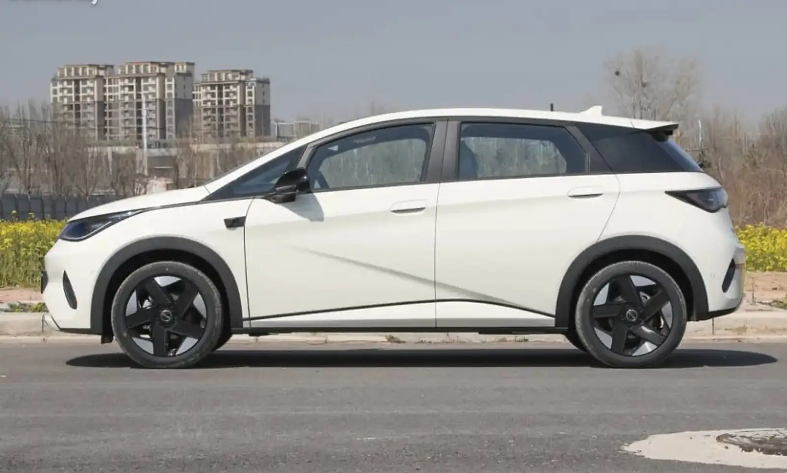 BYD Dolphin,