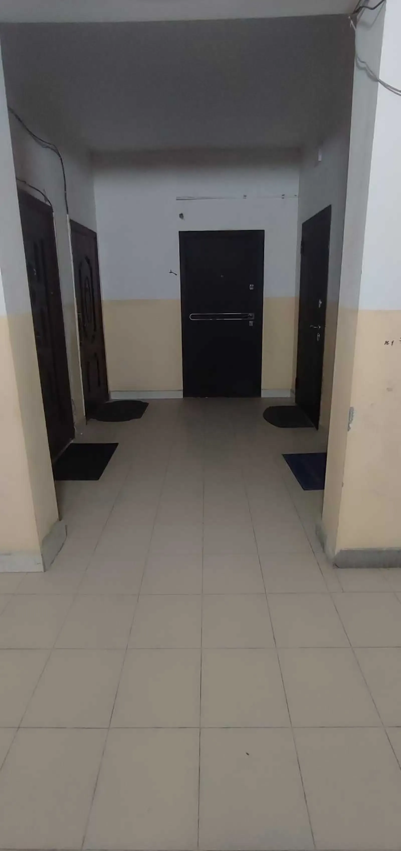 3-к квартира, 7 этаж, 75 м², Сино