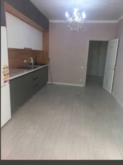 2-комн. квартира, 8 этаж, 80м², цирк