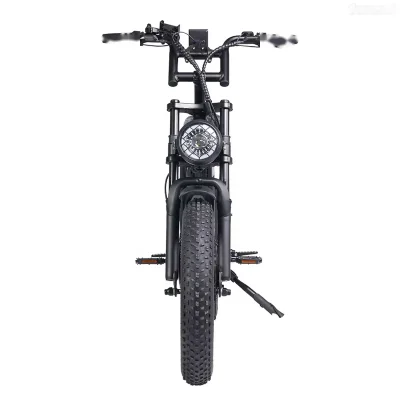 Электрический грязевой мотоцикл Ebike