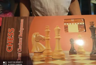 Шахматы