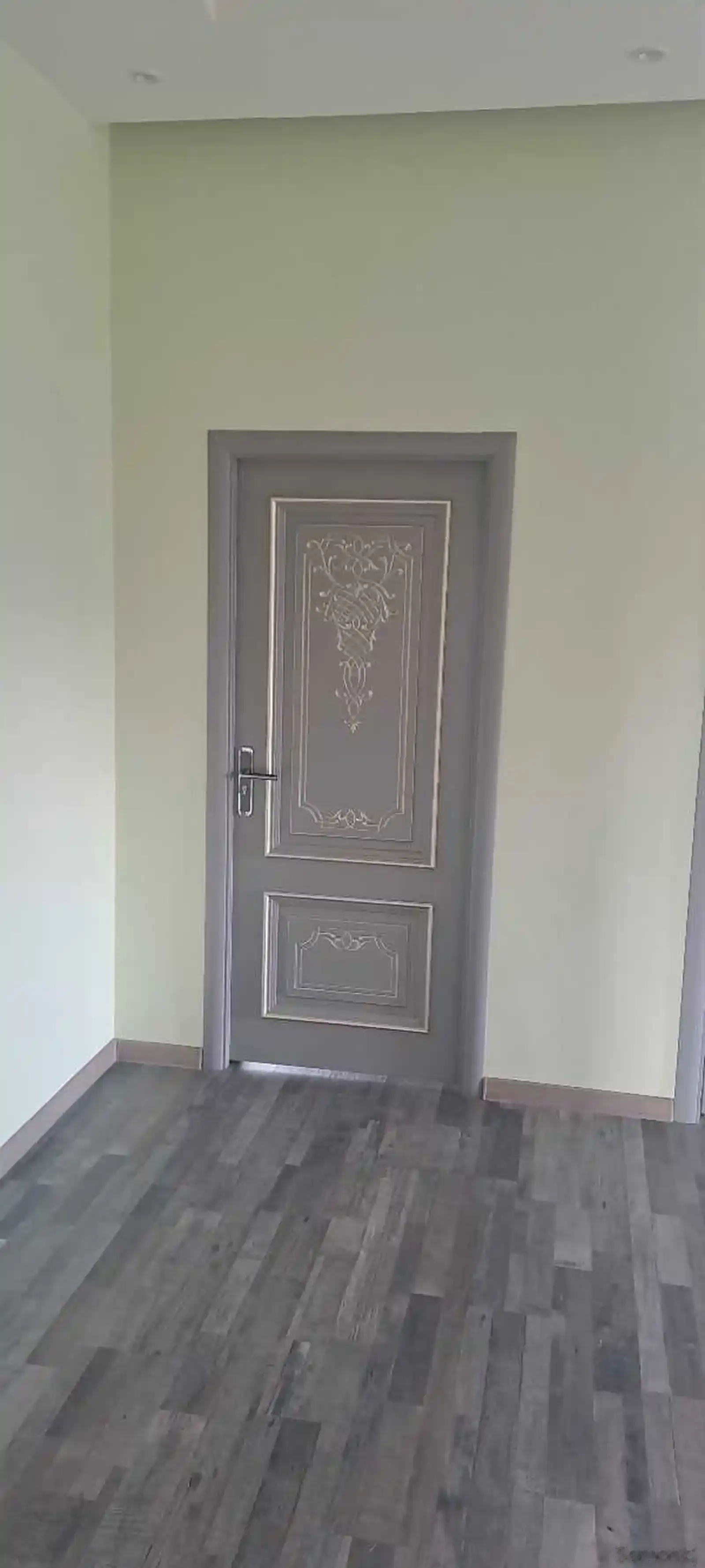 Дверь Багет