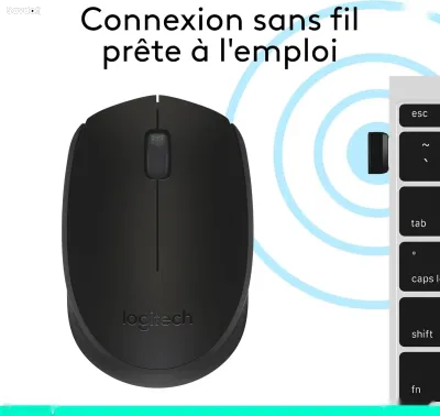 Беспроводная мышь Logitech M171 Wireless Mouse 1000 DPI Black
