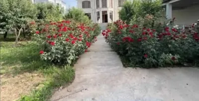 3-этажный, 3 комнатный дом, 600 м², Шохмансур