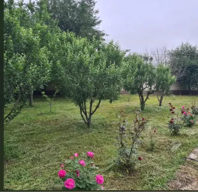 2-этажный, 11 комнатный дом, 1050 м², Фирдавси