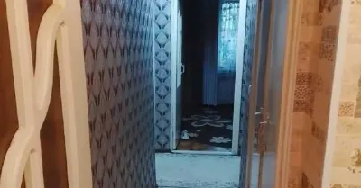 3-комн. квартира, 3 этаж, 54 м², Сино