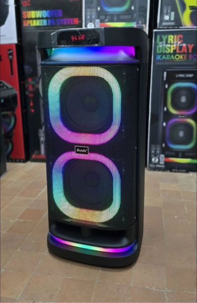 Колонка 300w в аренду