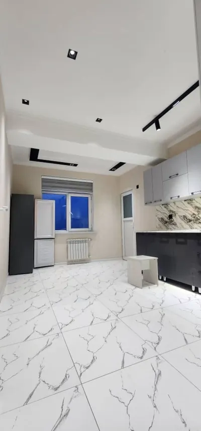 2-комн. квартира, 12 этаж, 65м², молодёжный цирк