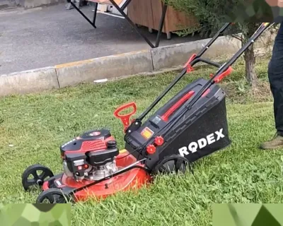 Бензиновая Газонокосилка Самоходная Rodex