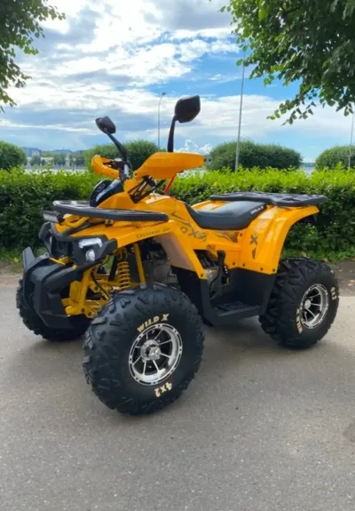 Квадроцикл Motoland wild track 200
