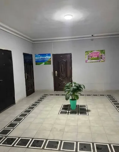 2-комн. квартира, 4 этаж, 60 м², н.Сино пушти Цирк