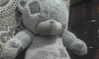 Мишка