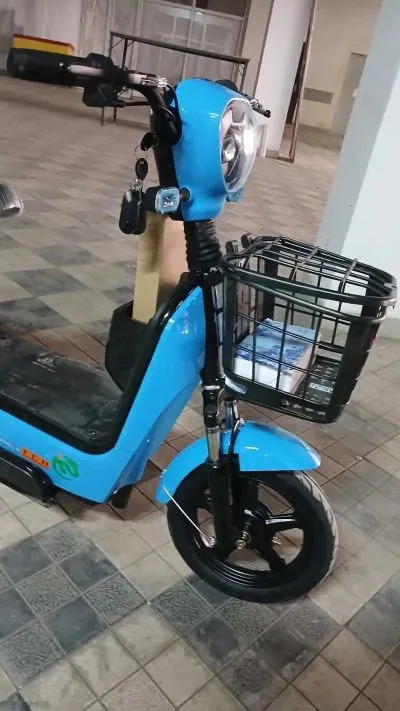 Скутер электронный