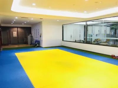 Татами
