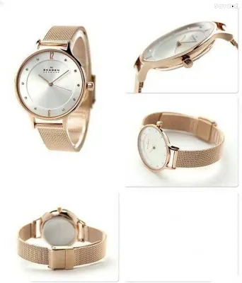 Часы Skagen SKW2151