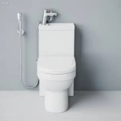 Унитаз со смесителем