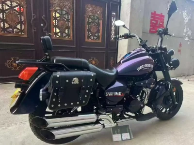 Мотоцикл Harley Grand — миниатюра 6
