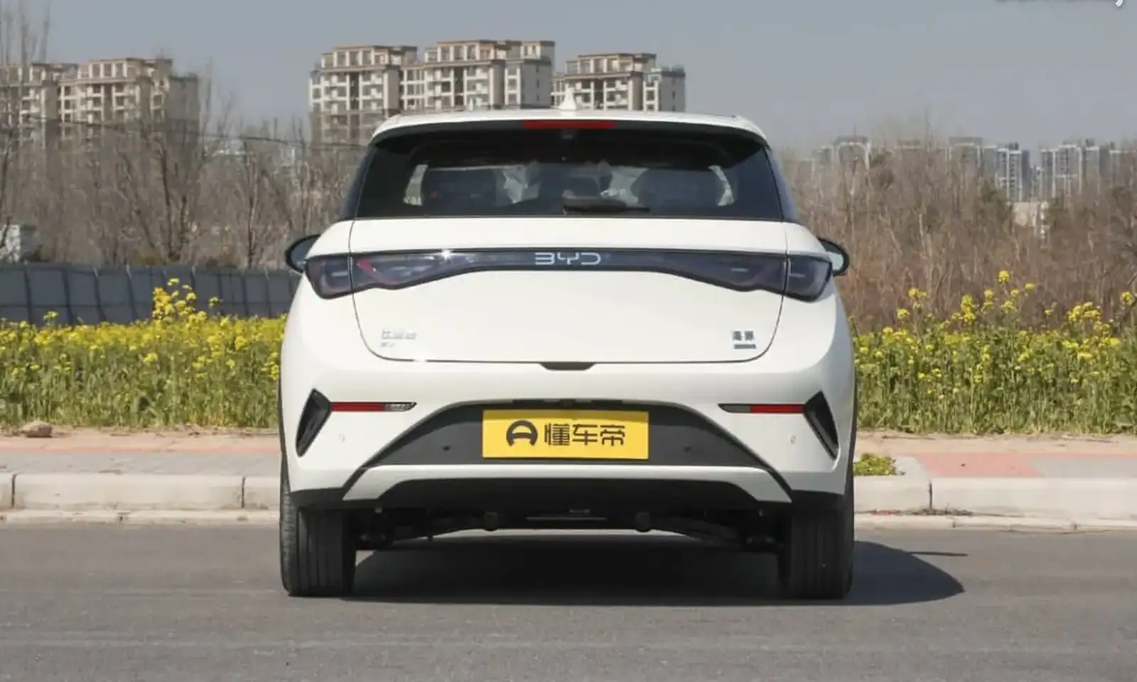BYD Dolphin,