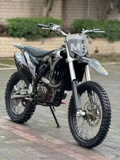 Мотоцикл Bosuer 250 M5