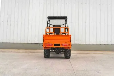 Мотороллер DL 300 4WD