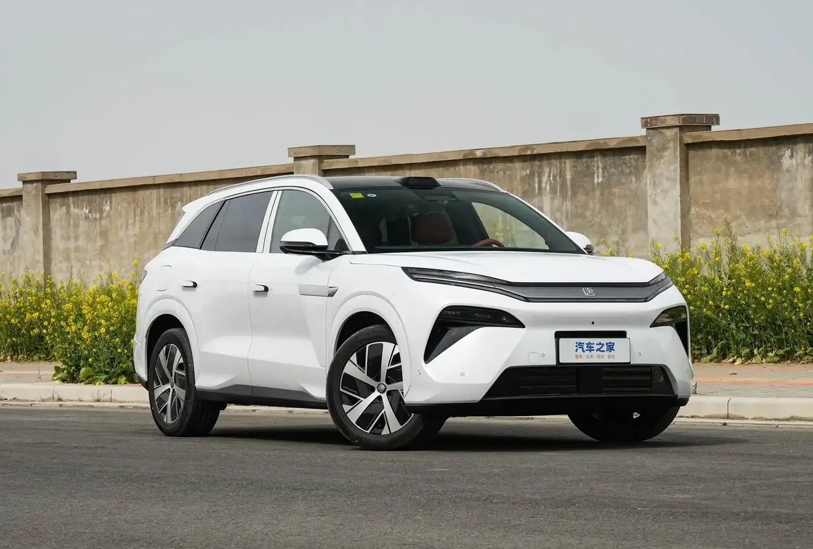 BYD Tang,
