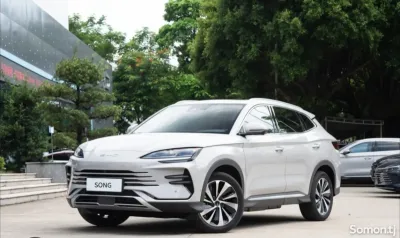 Полик от BYD