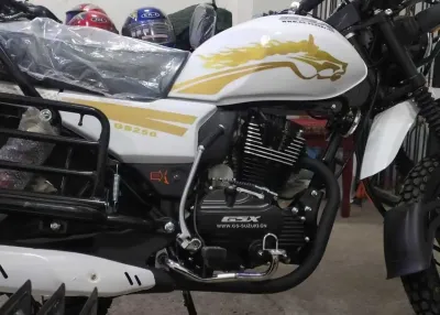 Мотоцикл Suzuki GSX 250