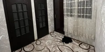 2-комн. квартира, 1 этаж, 60 м², Сино