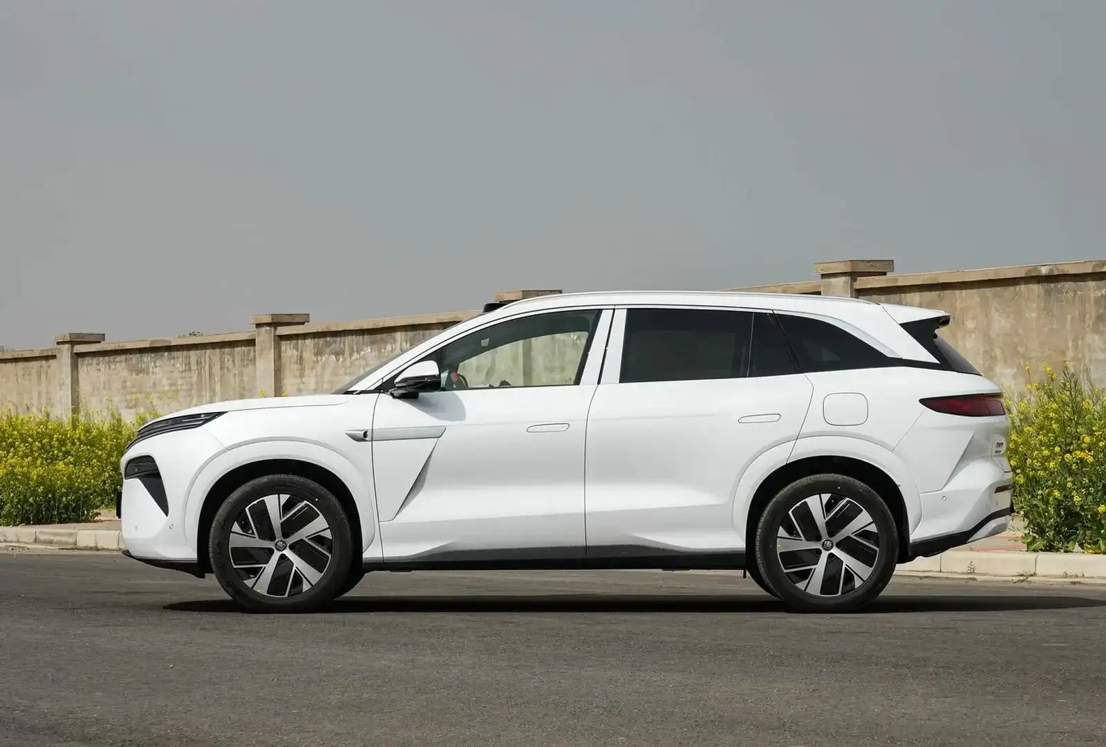 BYD Tang,