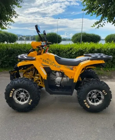 Квадроцикл Motoland wild track 200