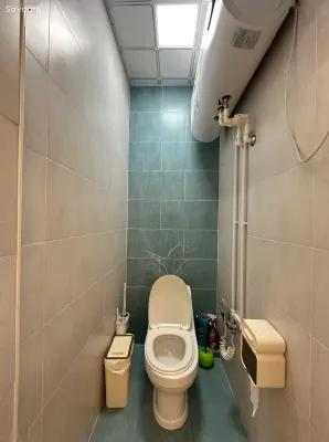 2-комн. квартира, 10 этаж, 66 м², ОВИР, Султанбей, Парк Алишера Навои, Шохмансур