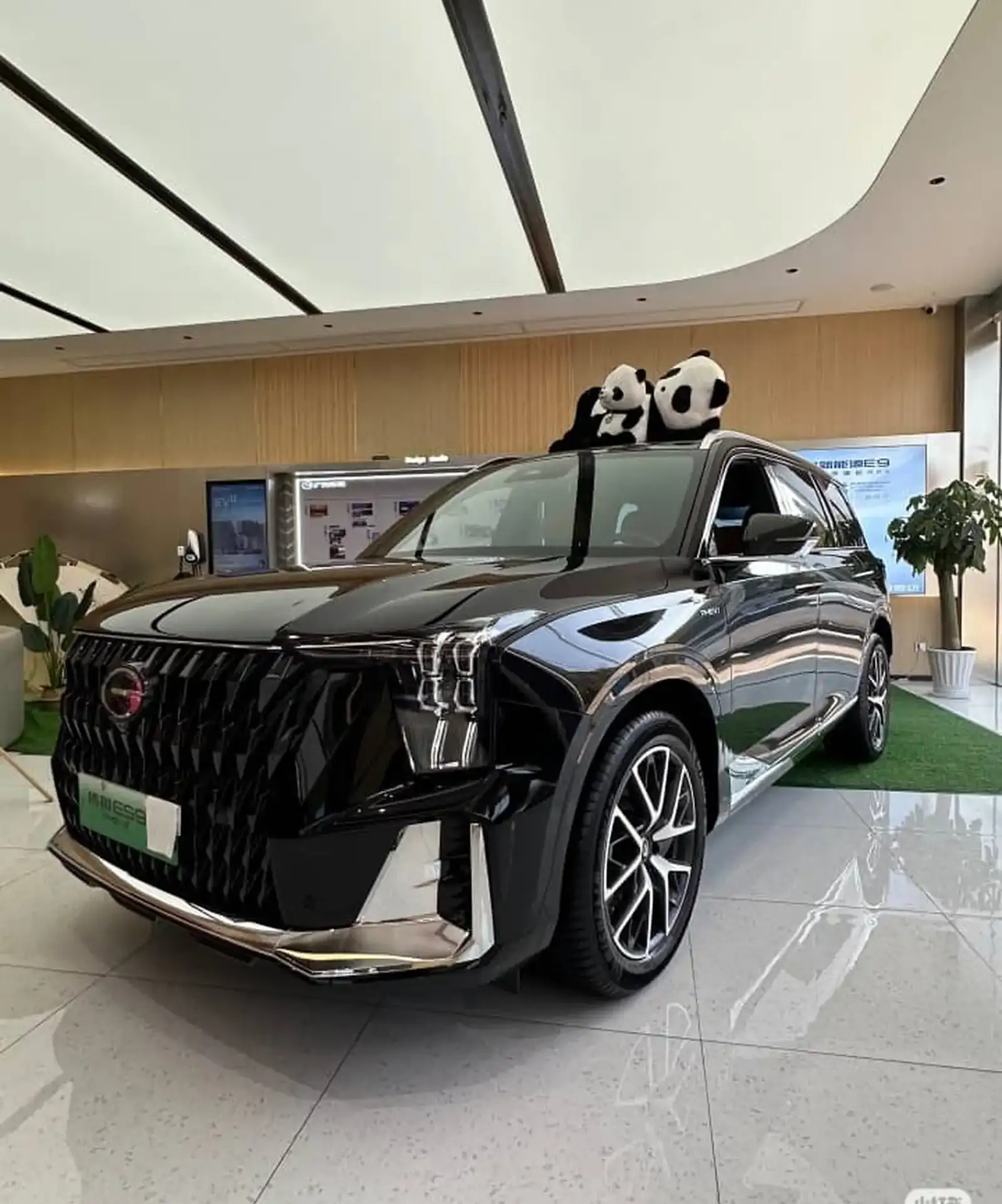 GAC Trumpchi GS8,